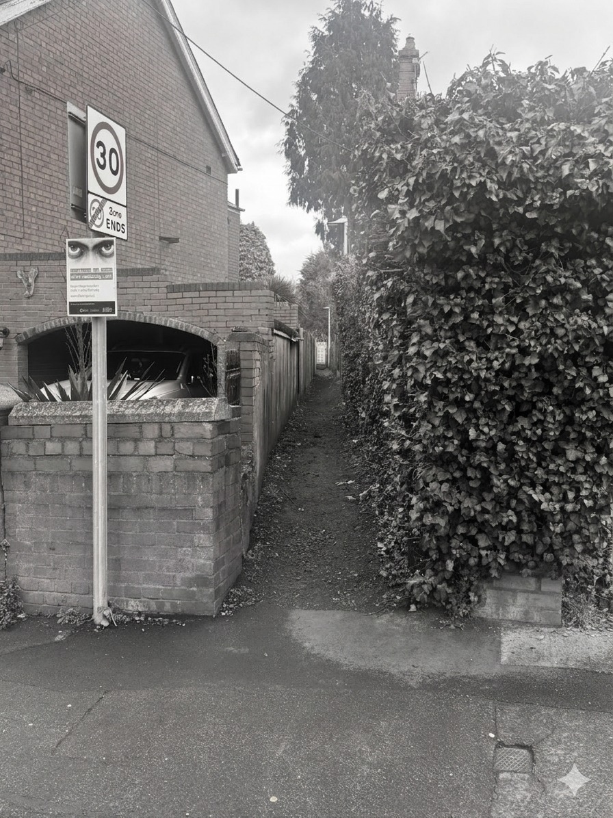 The alleyway between Gladstone Street and Manse Road